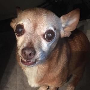 Meet your Posher, April